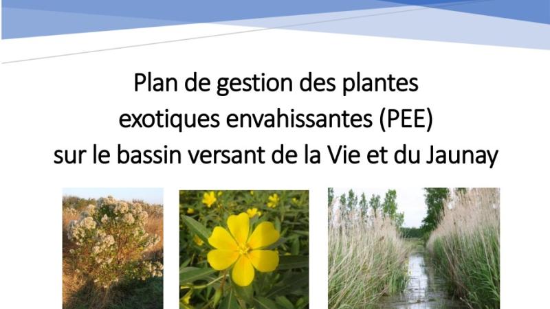 Plan de gestion des plantes exotiques envahissantes