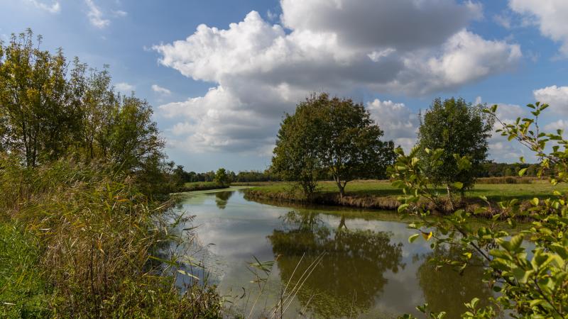 Rivière la Vie