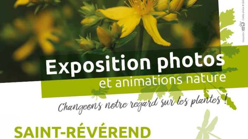 Affiche exposition "Sauvages des Rues, Belles et rebelles" à Saint Révérend du 24 mai au 15 juin 2025