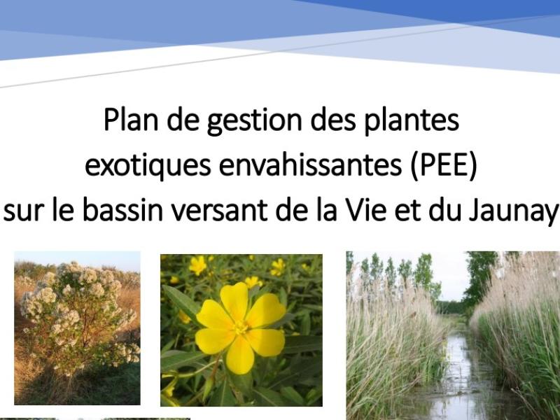

<!-- THEME DEBUG -->
<!-- THEME HOOK: 'views_view_field' -->
<!-- BEGIN OUTPUT from 'themes/custom/b5coll1/templates/views/views-view-field.html.twig' -->
Plan de gestion des plantes exotiques envahissantes
<!-- END OUTPUT from 'themes/custom/b5coll1/templates/views/views-view-field.html.twig' -->

