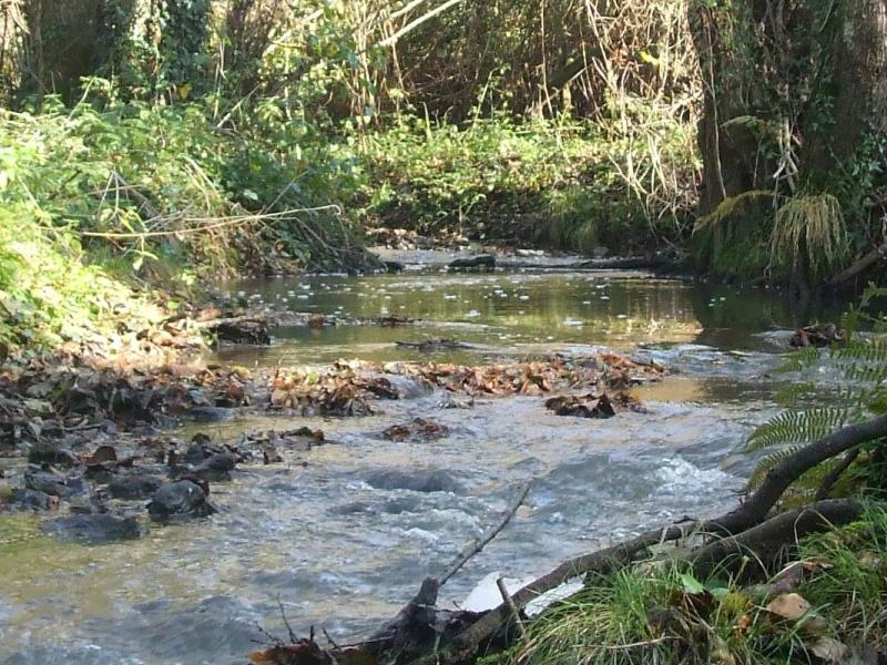 

<!-- THEME DEBUG -->
<!-- THEME HOOK: 'views_view_field' -->
<!-- BEGIN OUTPUT from 'themes/custom/b5coll1/templates/views/views-view-field.html.twig' -->
Restauration et entretien des cours d'eau et des marais
<!-- END OUTPUT from 'themes/custom/b5coll1/templates/views/views-view-field.html.twig' -->


