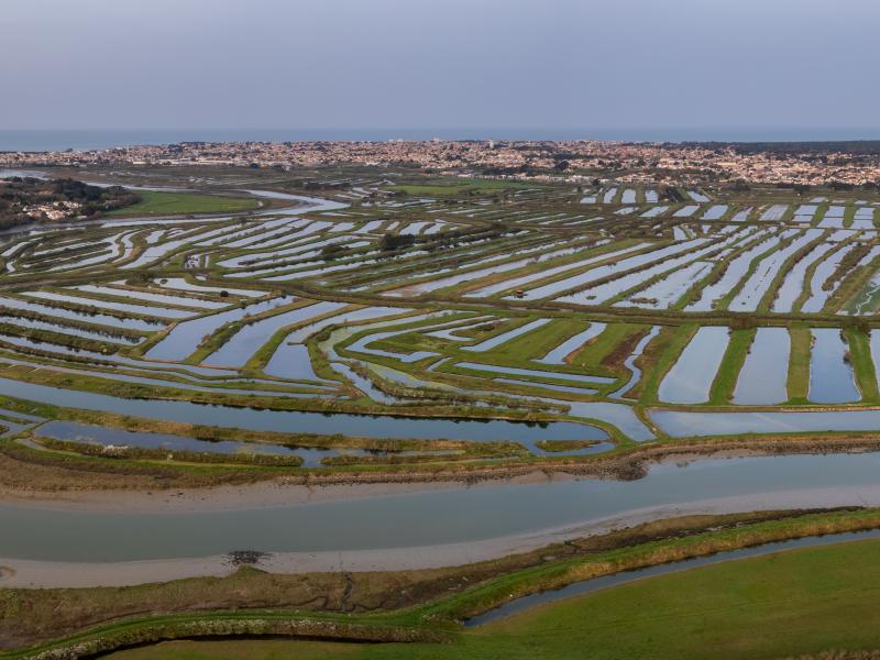 

<!-- THEME DEBUG -->
<!-- THEME HOOK: 'views_view_field' -->
<!-- BEGIN OUTPUT from 'themes/custom/b5coll1/templates/views/views-view-field.html.twig' -->
L'association syndicale des marais de la Basse Vallée de la Vie
<!-- END OUTPUT from 'themes/custom/b5coll1/templates/views/views-view-field.html.twig' -->

