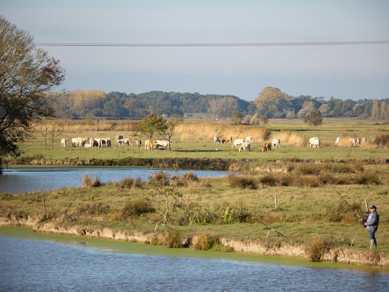 

<!-- THEME DEBUG -->
<!-- THEME HOOK: 'views_view_field' -->
<!-- BEGIN OUTPUT from 'themes/custom/b5coll1/templates/views/views-view-field.html.twig' -->
L'association syndicale des marais de la Vie
<!-- END OUTPUT from 'themes/custom/b5coll1/templates/views/views-view-field.html.twig' -->

