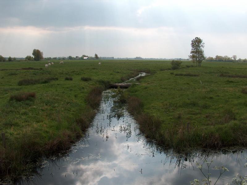 

<!-- THEME DEBUG -->
<!-- THEME HOOK: 'views_view_field' -->
<!-- BEGIN OUTPUT from 'themes/custom/b5coll1/templates/views/views-view-field.html.twig' -->
L'association syndicale des marais de Saint Hilaire et Notre Dame de Riez
<!-- END OUTPUT from 'themes/custom/b5coll1/templates/views/views-view-field.html.twig' -->

