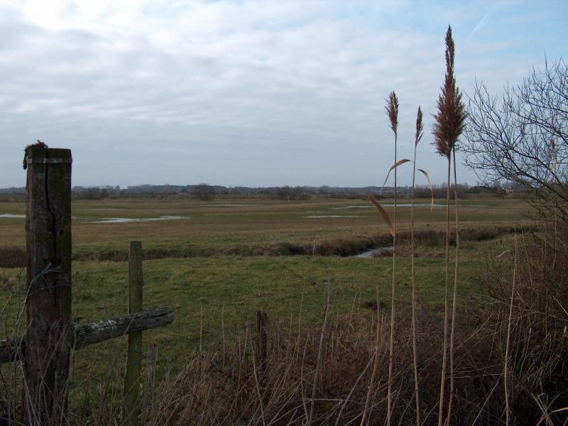 

<!-- THEME DEBUG -->
<!-- THEME HOOK: 'views_view_field' -->
<!-- BEGIN OUTPUT from 'themes/custom/b5coll1/templates/views/views-view-field.html.twig' -->
L'association syndicale des marais de Soullans et des Rouches 
<!-- END OUTPUT from 'themes/custom/b5coll1/templates/views/views-view-field.html.twig' -->

