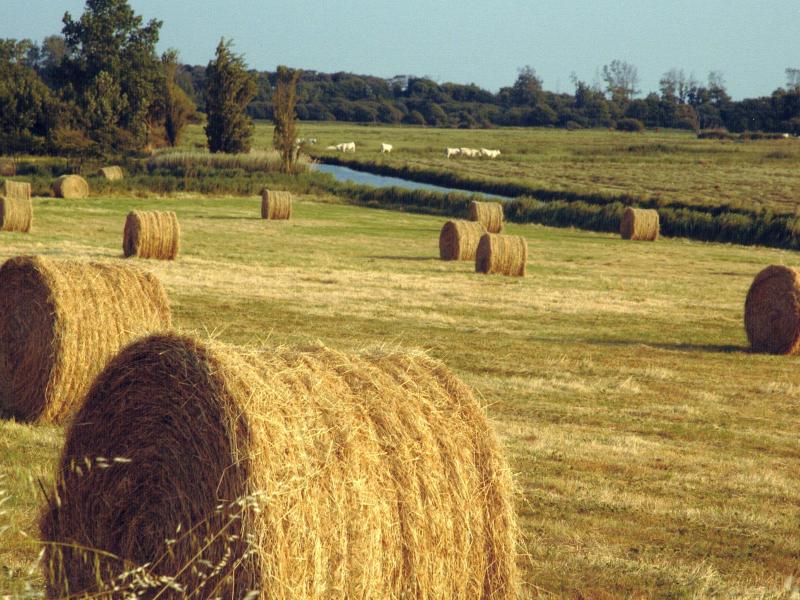 

<!-- THEME DEBUG -->
<!-- THEME HOOK: 'views_view_field' -->
<!-- BEGIN OUTPUT from 'themes/custom/b5coll1/templates/views/views-view-field.html.twig' -->
L'association syndicale des marais du Jaunay et du Gué-Gorand
<!-- END OUTPUT from 'themes/custom/b5coll1/templates/views/views-view-field.html.twig' -->

