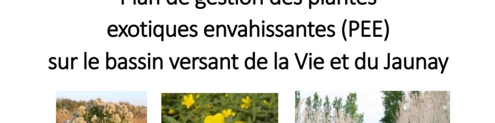 Plan de gestion des plantes exotiques envahissantes